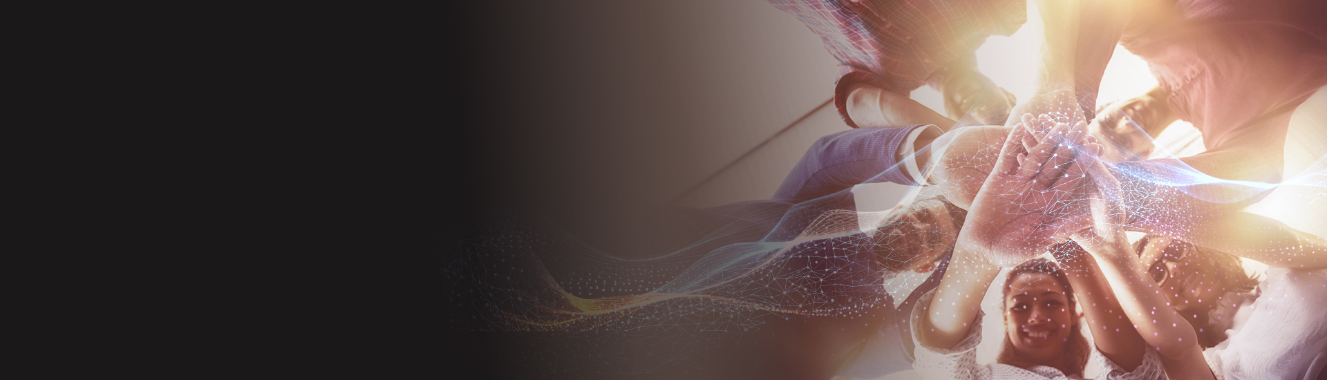 Strengthen Your Network Resilience